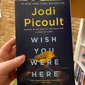 Jodi Picoult 'Wish You Were Here' Book